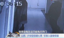 引狼入室电在线观看,网络陷阱揭秘，警惕电在线观看风险